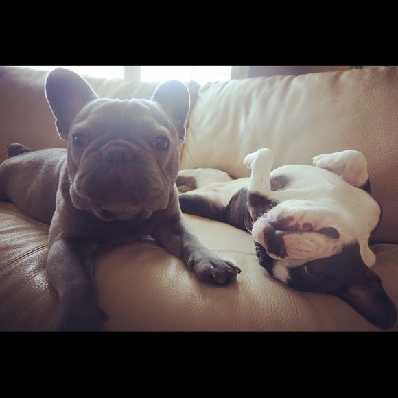 Meet your Posher, Diana - Picture 4 of 4